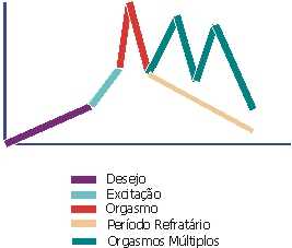 Ciclo da Resposta Sexual